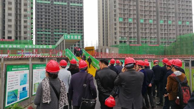 全國裝配式建筑工作會議 遠大住工“示范”作用獲贊